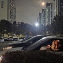 윗대이리 이미지