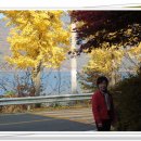 원식농장 이미지