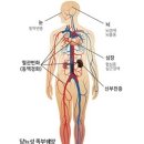창덕궁미인당 네이버블로그