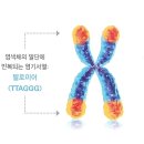 메로스(meros) 이미지