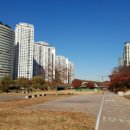 분당중앙공원 이미지