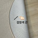 큰별동물의료원 | 고양이 응급 상황, 끈 삼켰을 때 대처 방법과 예방, 동물 병원 치료 및 비용 후기