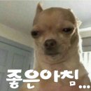 진동회집 이미지
