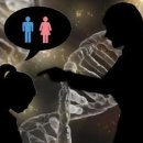 교회협동신문 이미지
