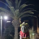 J 펜션 | 제주서쪽숙소 추천 돌고래가 보이는 숙소 <제이라움(J Raum)펜션> 가성비 훌륭한 숙박 후기