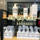 라브리지헤어진해