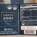 자연도담 이미지
