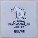 스테이 뭉구 이미지
