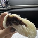 술찐빵땟거리