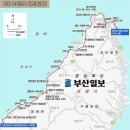 호미목장 Daum카페
