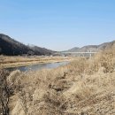 영월군(화병교) 티스토리