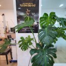 풍성의료기 이미지