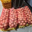 은행정농장 이미지