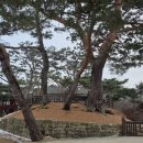 의림지-04 이미지