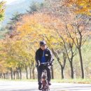 2016 자전거로 여행하는사람들 제2코스 ( 버뮤다번짱에 청주에서 점촌까지 ) . 이미지