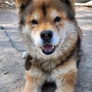 아산밸리로388번길 이미지