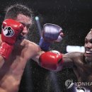 J World boxing 이미지