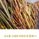 분토골농장 이미지