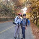 한천면사무소 이미지