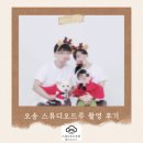 드루 | 스튜디오드루 촬영 후기｜가족·아이 사진 고민이라면 참고하세요