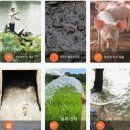 오수수산 이미지