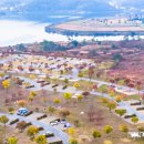 밸런스독B 이미지