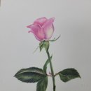 동춘1동행정복지센터 이미지