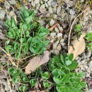 경천식물원 이미지