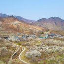 내압농원 네이버블로그
