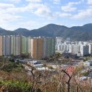 팔룡동205 이미지