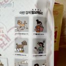 대견농장 | 돈값 하는 강아지패드! 우리 강아지 대견하게 만드는 백세개로 대견패드 배변패드추천