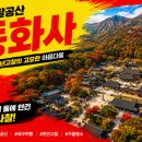성보교통㈜ | 제27편. 동화사(桐華寺) — 대구 팔공산의 팔공총림