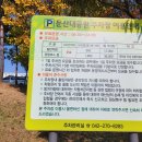 식장산다육 | 대전 가볼만한 곳 : 한밭수목원 가을산책하기 좋은 수목원 열대식물원 관람까지