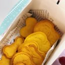 논산애견미용학원 이미지