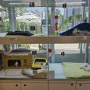 아쿠아펫 카페수족관 이미지