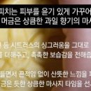 러쉬스파 네이버블로그