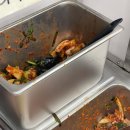 해밀칼국수&김밥 이미지
