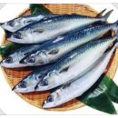 MJ 스포랜드 이미지