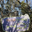 오름 | 제주도 동쪽 오름여행 붉은오름 후기