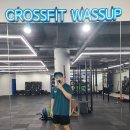 만년로 R | [역도화 리뷰]발볼 넓은 티어TYR 역도화 L-1리프터 후기(사이즈팁, 착용후기, 나이키 로말레오 비교)