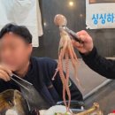 싱싱회포차 | 향남 해신탕 맛집 │ 조개·해물 가득 + 토종닭 국물까지 완벽한 ‘싱싱회포차’ 솔직 후기