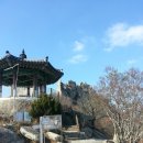 목포세발낙지 이미지