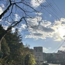 하천농장 | 캠크닉 &#39;숲266&#39; 솔직후기 | 인당 1만원대 가을 단풍, 서울근교아이랑갈만한곳, 하천뷰, 애견동반...