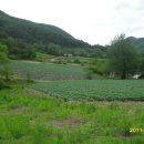 전원펜션 이미지