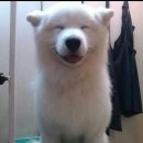 포스코탑공인중개사사무소 이미지