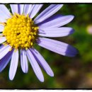 가야농협주유소 이미지