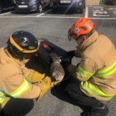 풍암119안전센터 이미지