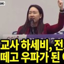 전직 교사 하세비, 전교조에 학을 떼고 우파가 된 이유 이미지