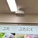 탕탕(TANG TANG) 이미지