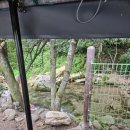 월악여울펜션 | 송계계곡/평상대여] 🔆충주 송계계곡 월악여울 펜션 평상 대여 후기 | 시원한 계곡물과 힐링 가득한 하루🍃